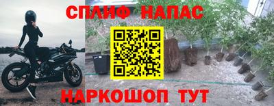 бошки Сланцы