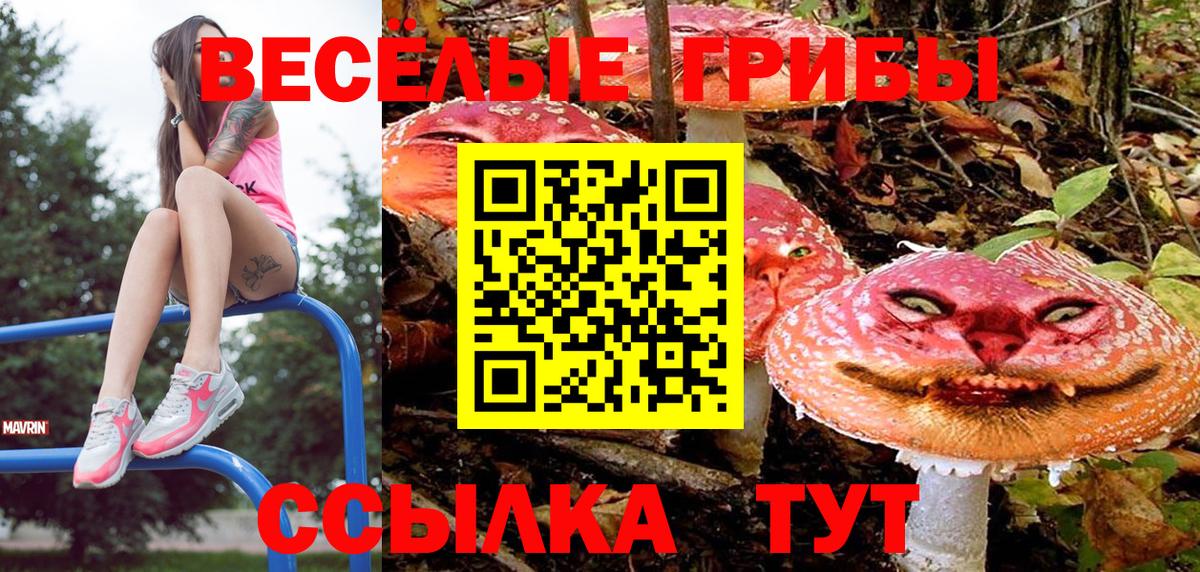 Галлюциногенные грибы мицелий Альметьевск