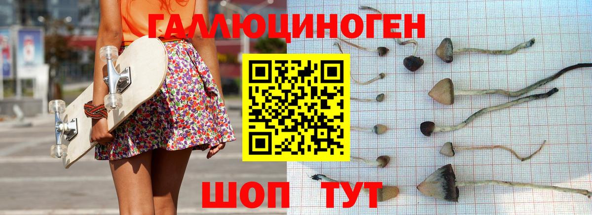 Альметьевск  Галлюциногенные грибы Psilocybine cubensis  Вход с VPN 